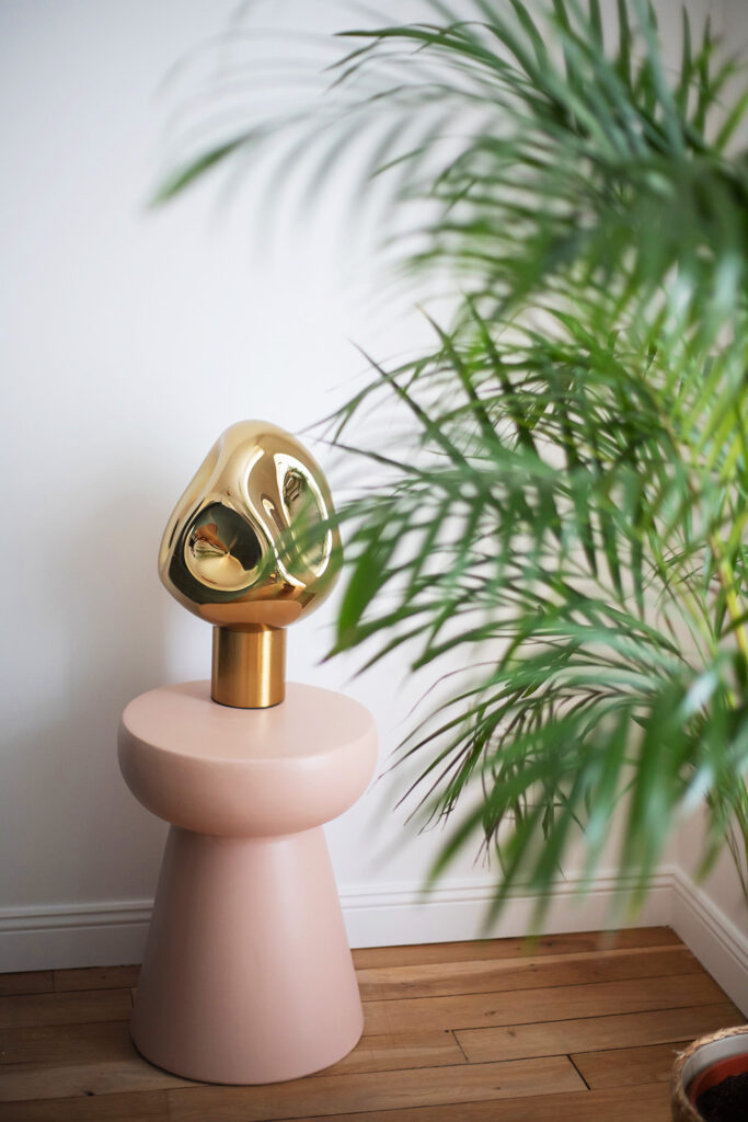 Plantes - Appartement Porte de Mars